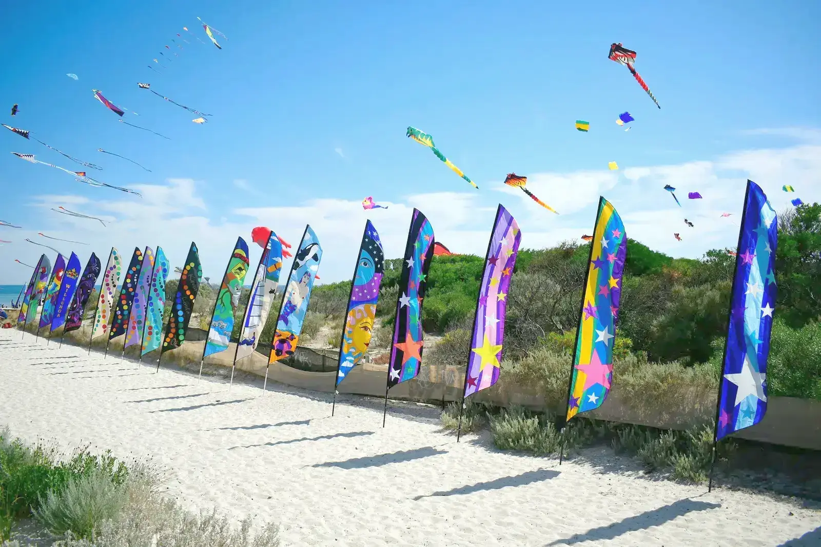 Ljeto počinje (Vamos Blade)